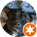 Boon profile picture